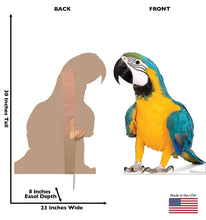 Load image into Gallery viewer, Advanced Graphics Parrot Life Size Cardboard Cutout Standup - Made in USA - AT TEN Distribution
