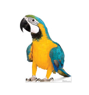 Advanced Graphics Parrot Life Size Cardboard Cutout Standup - Made in USA - AT TEN Distribution