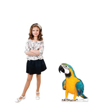 Load image into Gallery viewer, Advanced Graphics Parrot Life Size Cardboard Cutout Standup - Made in USA - AT TEN Distribution

