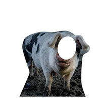Load image into Gallery viewer, Advanced Graphics Pig Stand - in Life Size Cardboard Cutout Standup - AT TEN Distribution
