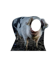 Advanced Graphics Pig Stand - in Life Size Cardboard Cutout Standup - AT TEN Distribution