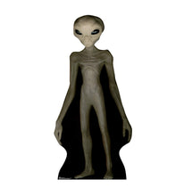 Load image into Gallery viewer, Advanced Graphics Pumpkin Group Life Size Cardboard Cutout Standup - AT TEN Distribution
