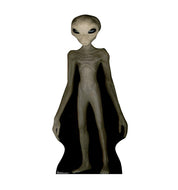 Advanced Graphics Pumpkin Group Life Size Cardboard Cutout Standup - AT TEN Distribution