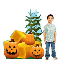 Load image into Gallery viewer, Advanced Graphics Pumpkin Patch Life Size Cardboard Cutout Standup - AT TEN Distribution
