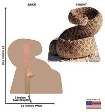 Load image into Gallery viewer, Advanced Graphics Rattlesnake Life Size Cardboard Cutout Standup - Made in USA - AT TEN Distribution
