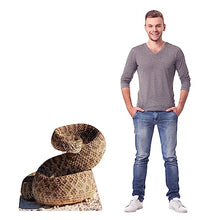 Load image into Gallery viewer, Advanced Graphics Rattlesnake Life Size Cardboard Cutout Standup - Made in USA - AT TEN Distribution
