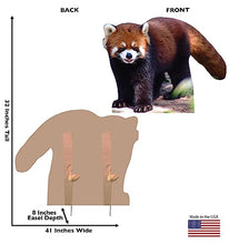Load image into Gallery viewer, Advanced Graphics Red Panda Life Size Cardboard Cutout Standup - Made in USA - AT TEN Distribution
