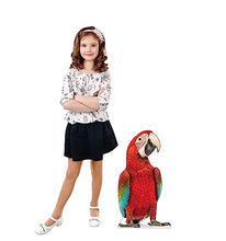 Load image into Gallery viewer, Advanced Graphics Red Parrot Life Size Cardboard Cutout Standup - Made in USA - AT TEN Distribution

