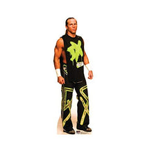 Load image into Gallery viewer, Advanced Graphics Shawn Michaels Life Size Cardboard Cutout Standup - WWE - AT TEN Distribution
