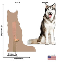 Load image into Gallery viewer, Advanced Graphics Siberian Husky Life Size Cardboard Cutout Standup - Made in USA - AT TEN Distribution
