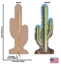 Load image into Gallery viewer, Advanced Graphics Single Cactus Life Size Cardboard Cutout Standup - AT TEN Distribution

