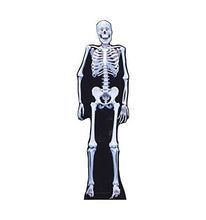Load image into Gallery viewer, Advanced Graphics Skeleton Life Size Cardboard Cutout Standup - AT TEN Distribution
