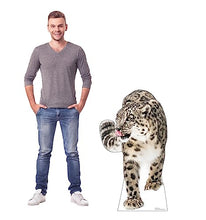 Load image into Gallery viewer, Advanced Graphics Snow Leopard Life Size Cardboard Cutout Standup - Made in USA - AT TEN Distribution
