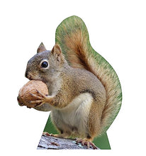 Load image into Gallery viewer, Advanced Graphics Squirrel Life Size Cardboard Cutout Standup - Made in USA - AT TEN Distribution
