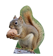 Advanced Graphics Squirrel Life Size Cardboard Cutout Standup - Made in USA - AT TEN Distribution