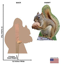 Load image into Gallery viewer, Advanced Graphics Squirrel Life Size Cardboard Cutout Standup - Made in USA - AT TEN Distribution
