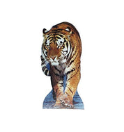Advanced Graphics Tiger Life Size Cardboard Cutout Standup - AT TEN Distribution