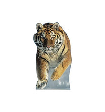 Load image into Gallery viewer, Advanced Graphics Tiger Life Size Cardboard Cutout Standup - AT TEN Distribution
