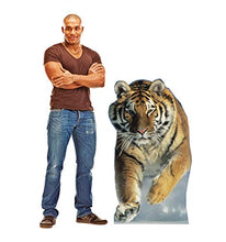 Load image into Gallery viewer, Advanced Graphics Tiger Life Size Cardboard Cutout Standup - AT TEN Distribution
