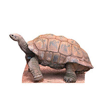 Load image into Gallery viewer, Advanced Graphics Tortoise Life Size Cardboard Cutout Standup - AT TEN Distribution

