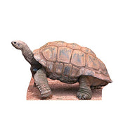Advanced Graphics Tortoise Life Size Cardboard Cutout Standup - AT TEN Distribution