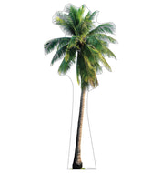 Advanced Graphics Tropical Palm Tree Life Size Cardboard Cutout Standup - AT TEN Distribution