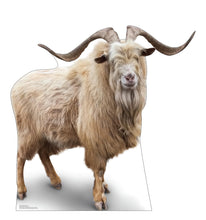 Load image into Gallery viewer, Advanced Graphics Wild Mountain Goat Life Size Cardboard Cutout Standup - Made in USA - AT TEN Distribution
