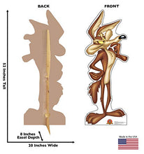 Load image into Gallery viewer, Advanced Graphics Wile E. Coyote Life Size Cardboard Cutout Standup - Looney Tunes - AT TEN Distribution
