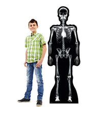 Load image into Gallery viewer, Advanced Graphics X - Ray Skeleton Life Size Cardboard Cutout Standup - AT TEN Distribution
