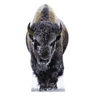 Advanced Graphics Yellowstone Bison Life Size Cardboard Cutout Standup - Made in USA - AT TEN Distribution