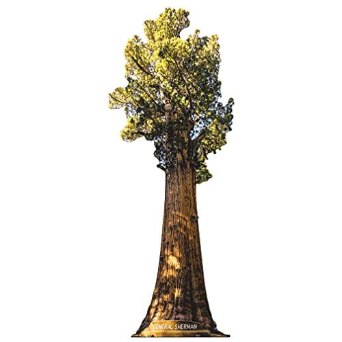 H13207 General Sherman Giant Sequoia Tree April 15 National Monument Cardboard Cutout Standee Standup - AT TEN Distribution