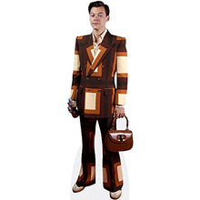 Load image into Gallery viewer, Harry E. Styles (Bag) Life Size Cutout - AT TEN Distribution
