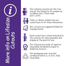 Load image into Gallery viewer, Harry E. Styles (Burgundy Suit) Life Size Cutout - AT TEN Distribution
