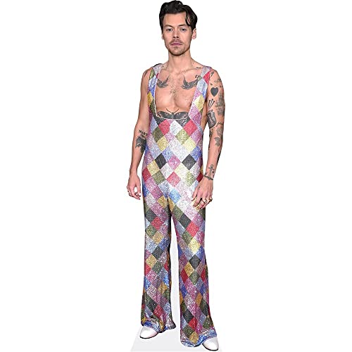 Harry E. Styles (Colourful) Life Size Cutout - AT TEN Distribution