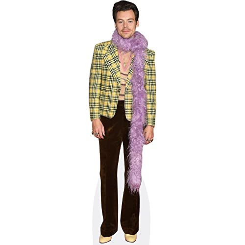 Harry E. Styles (Feather Boa) Life Size Cutout - AT TEN Distribution
