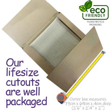 Load image into Gallery viewer, Pedro Pascal (Floral) Life Size Cutout - AT TEN Distribution
