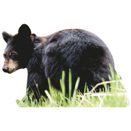 SP12473 Black Bear Cub Cardboard Cutout Standee Standup - AT TEN Distribution