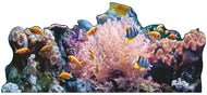 SP12556 Coral Reef Ocean Floor Backdrop Cardboard Cutout Standee Standup - AT TEN Distribution